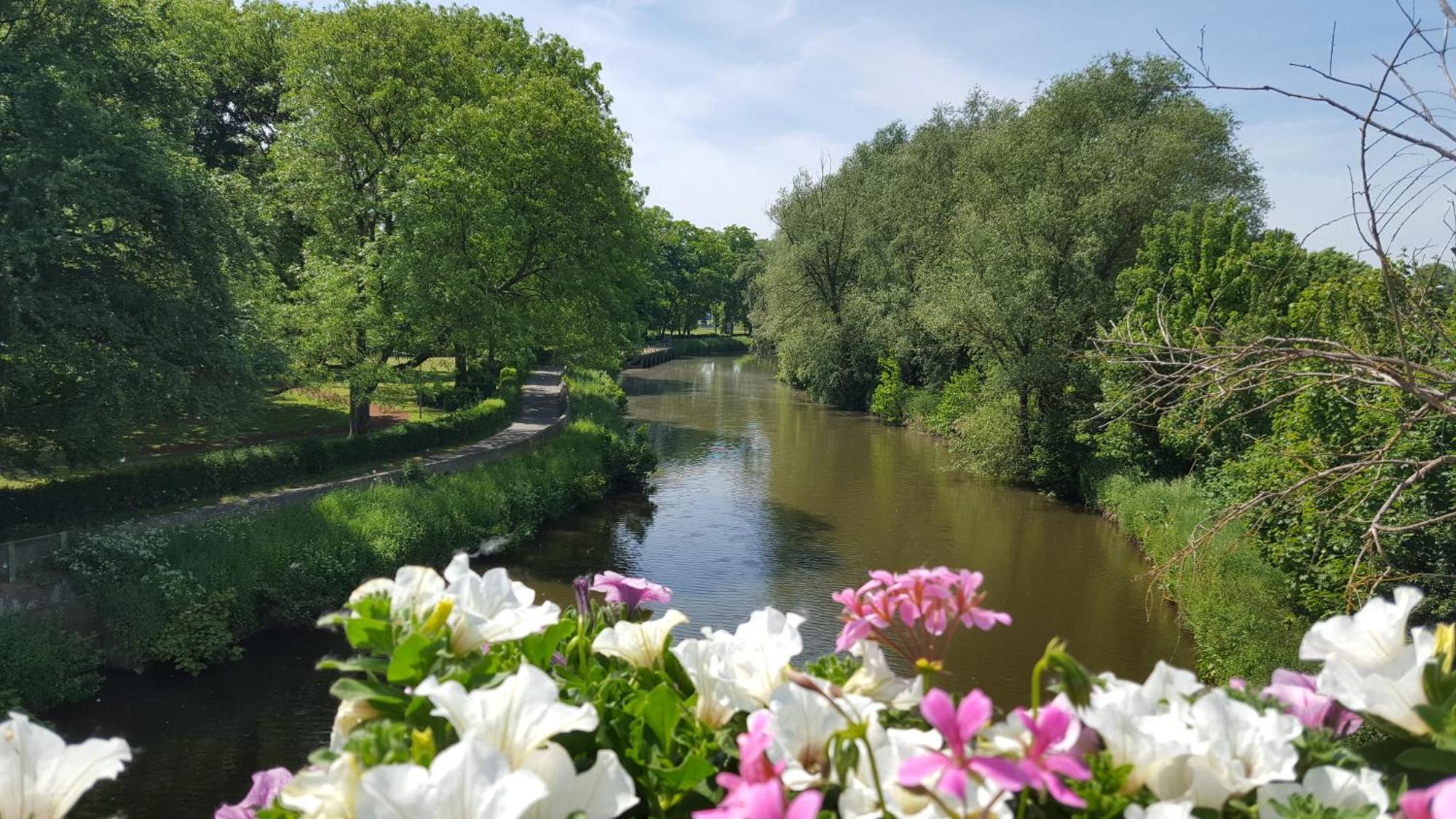 B&B Krieken De Jour Ninove Dış mekan fotoğraf